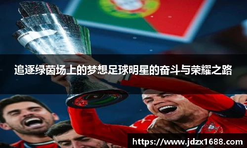 追逐绿茵场上的梦想足球明星的奋斗与荣耀之路